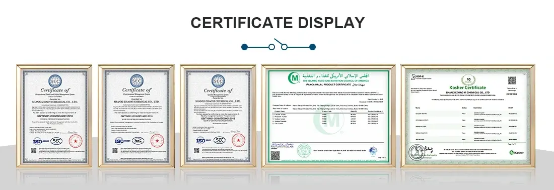 Certification Certificate
