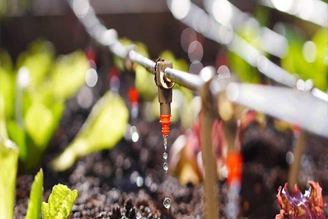 Water-soluble fertilizer drip irrigation Water-soluble fertilizer drip irrigation