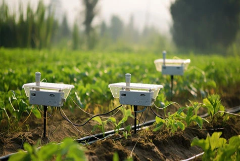 Water-soluble fertilizer drip irrigation Water-soluble fertilizer drip irrigation