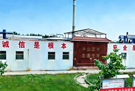 Our Factory